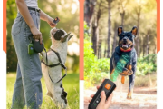 Ултразвуков Кучегон/Треньор за кучета/фенерче DOG TRAINER
