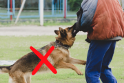 Ултразвуков Кучегон/Треньор за кучета/фенерче DOG TRAINER