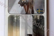 Свирка примамка за хищници Nordik Mouse